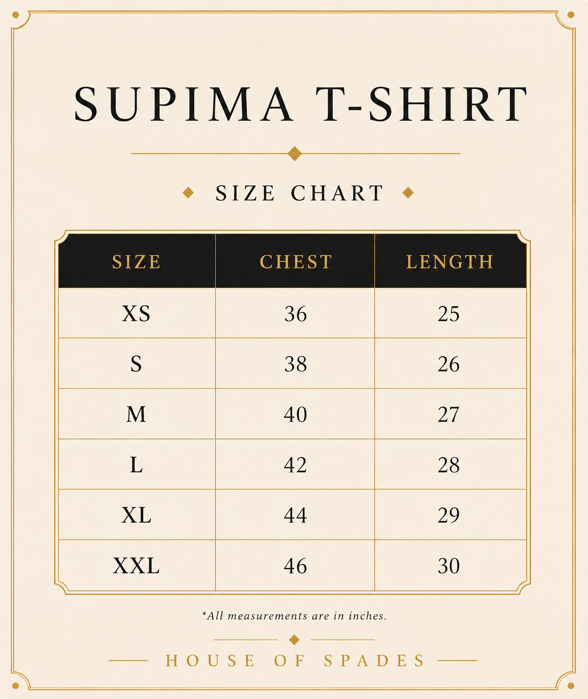 Blank 02 // Supima T